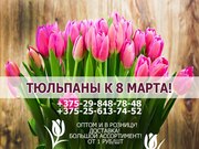 Закажи тюльпаны на 8 марта. 