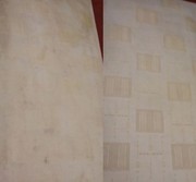 Химчистка ковров,  ковровых покрытий (на дому) в Бресте.