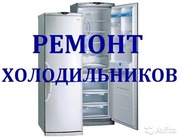 Срочный ремонт холодильников и морозильников на дому в Минске